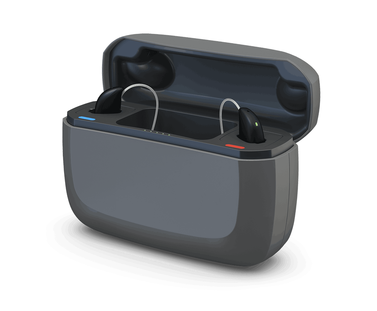 Icon 1